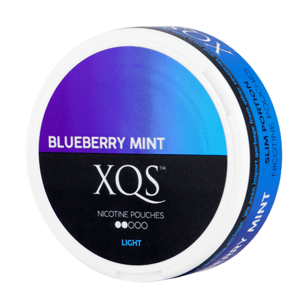 XQS Blueberry Mint Light nikotinske vrećice