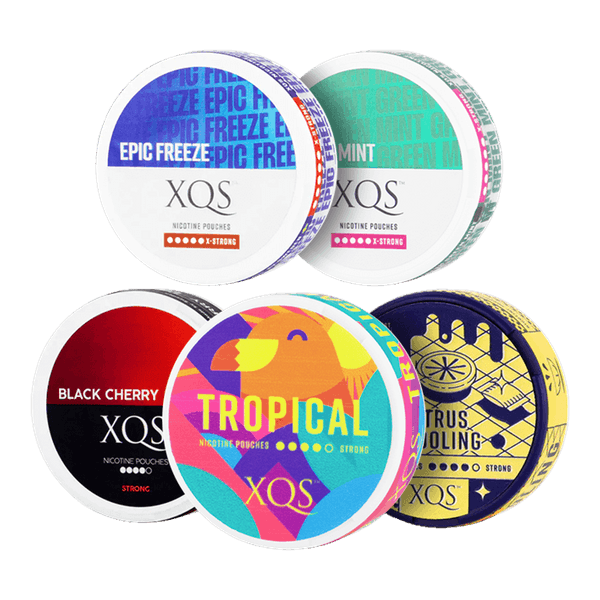 XQS XQS Spicy Mix Pack nicotine pouches